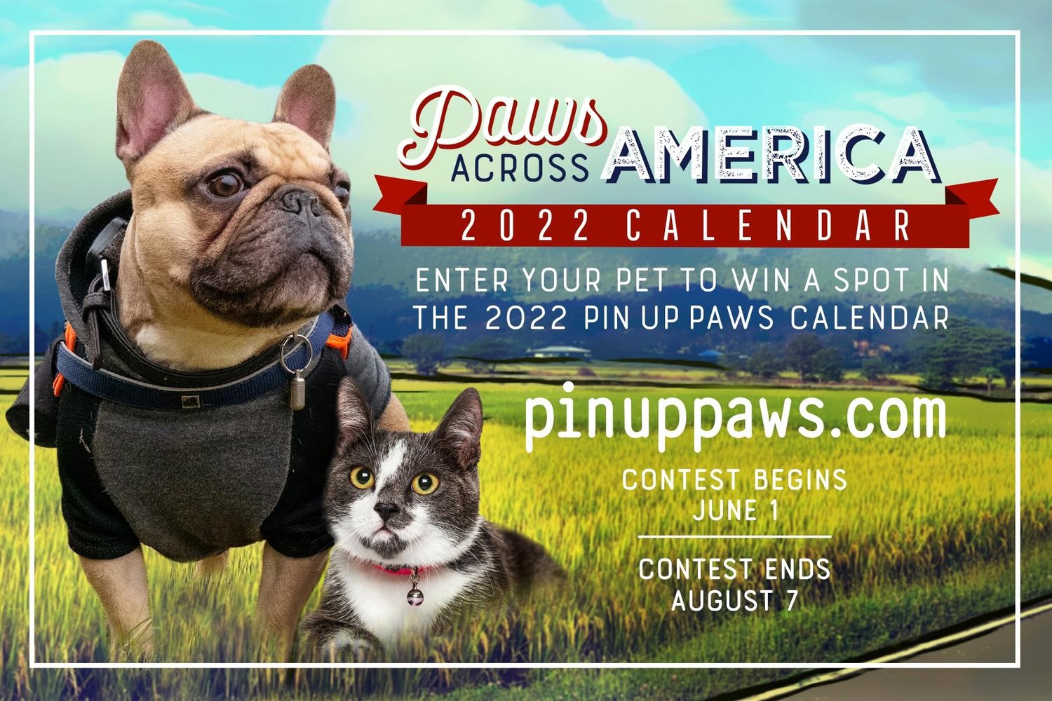 The St. Augustine Humane Society has launched its 11th annual “Pin Up Paws” pet calendar photo contest. The winner will be featured on the cover of the 2022 Pin Up Paws Calendar.